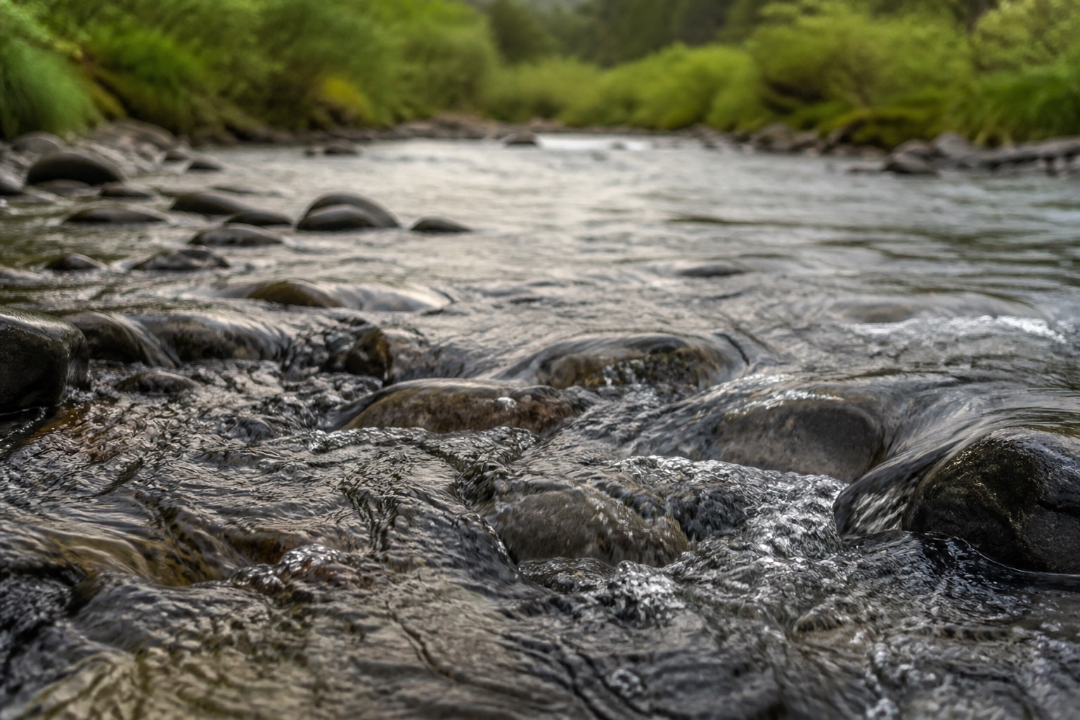 Clear river water flowing over smooth stones